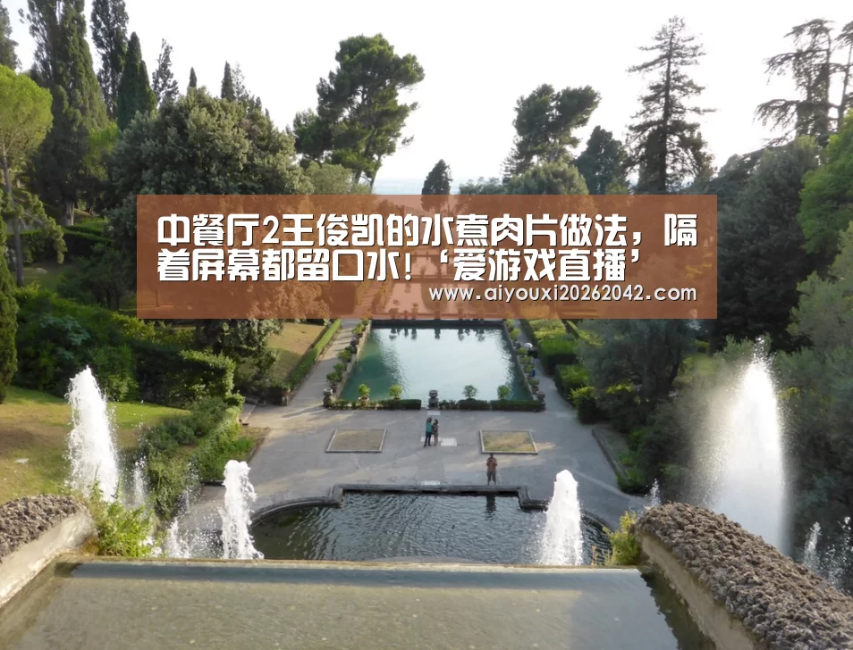 中餐厅2王俊凯的水煮肉片做法,隔着屏幕都留口水!‘爱游戏直播’(图2) 爱游戏直播