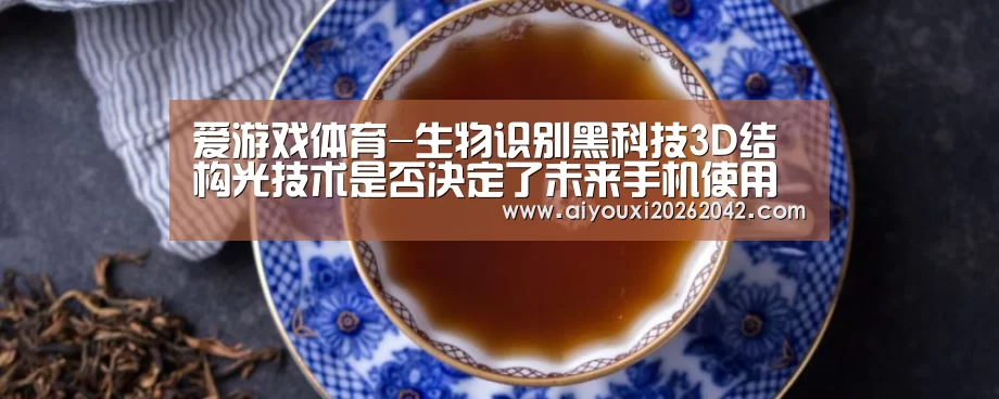 爱游戏体育-生物识别黑科技3D结构光技术是否决定了未来手机使用方向?(图3) 爱游戏下载