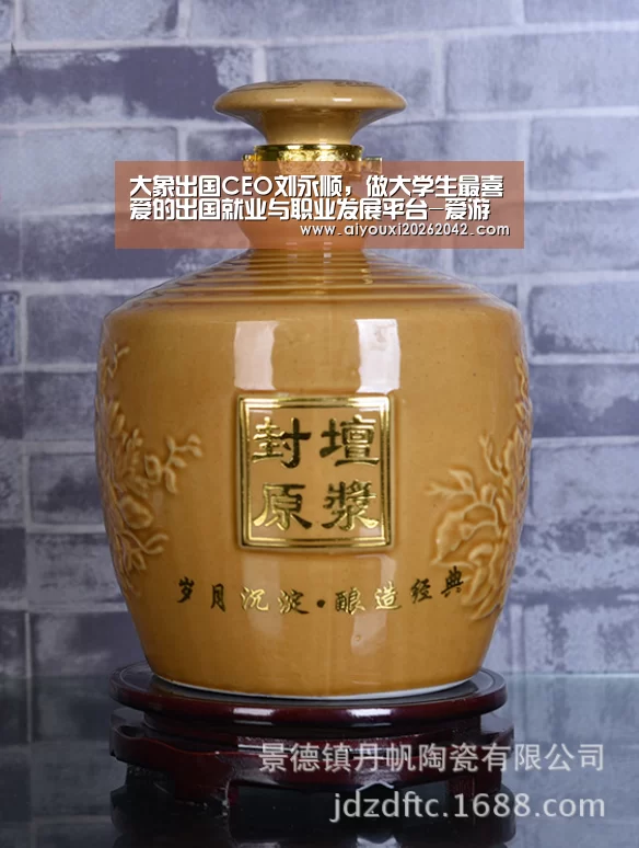 大象出国CEO刘永顺，做大学生最喜爱的出国就业与职业发展平台-爱游戏体育